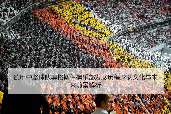 德甲中坚球队奥格斯堡俱乐部发展历程球队文化与未来前景解析